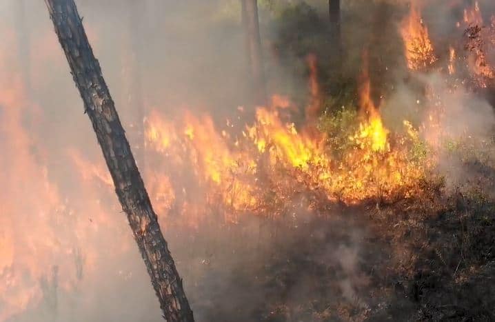 11,800 acres will be burned in Polk, Sumer, Lake, and Pasco Counties