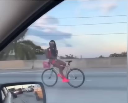 Only In Florida – Caught On Camera