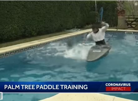 palm tree paddle 1