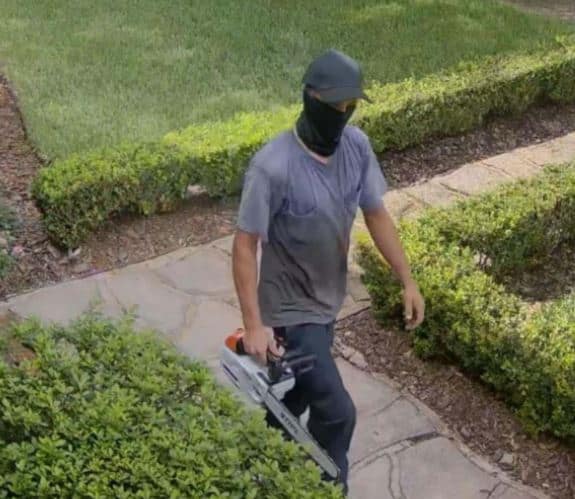 Polk County Man Cuts Down Random Trees, Police Seeking Suspect