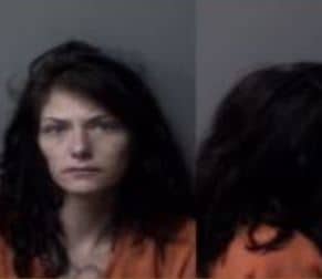 Tampa Woman Gets Naked In Citrus County Patrol Car
