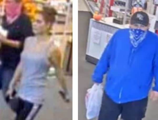 Pasco and Hernando County Stolen Credit Card Shopping Spree, Suspects Sought