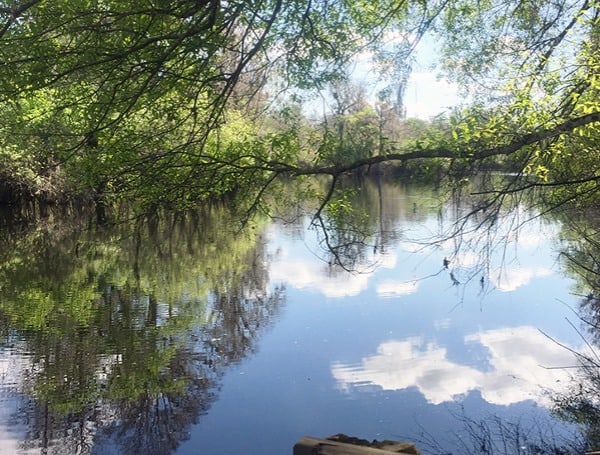 Police Need Help Identifying Man Found Dead in the Hillsborough River