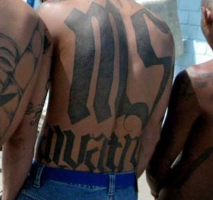 Five MS-13 Gang Members Charged with Murder