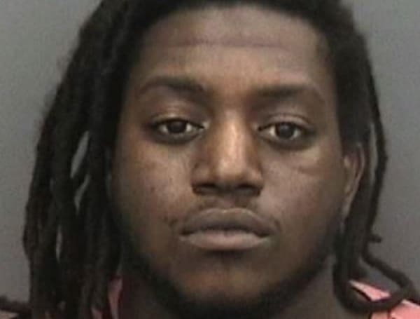 Tampa Police Make Arrest in Hit and Run, Seek Second Vehicle