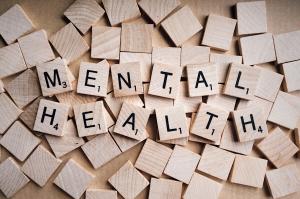 Baker Act Continuing Mental Health Education Course Helps Protect Human Rights