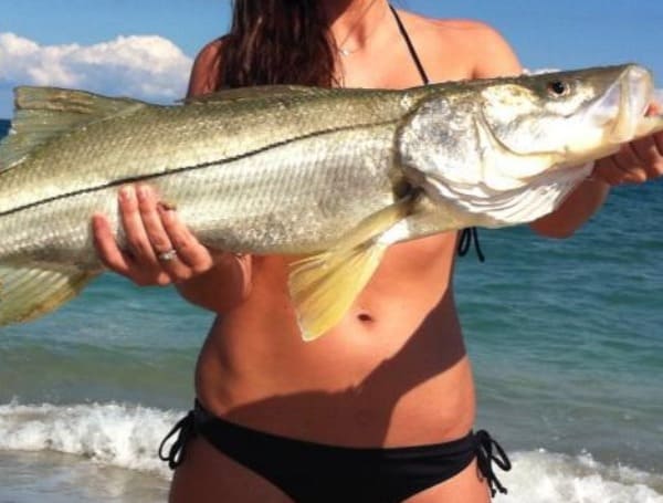 Florida FWC: Watch The 2021 Snook Symposium Online June 30