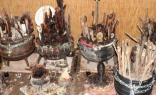 Shrine in Shed