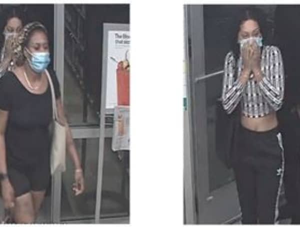 Hillsborough County Sheriff Seeking Publix Liquor Shoplifters