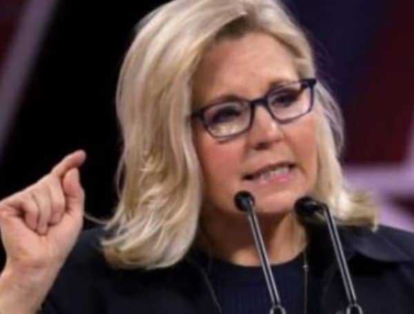 ‘No Heart’ Donald J. Trump’s Statement On Liz Cheney