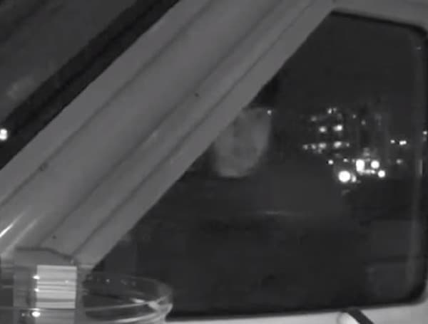 Caught On Camera: Sarasota Police Seek to Identify Boat Burglars