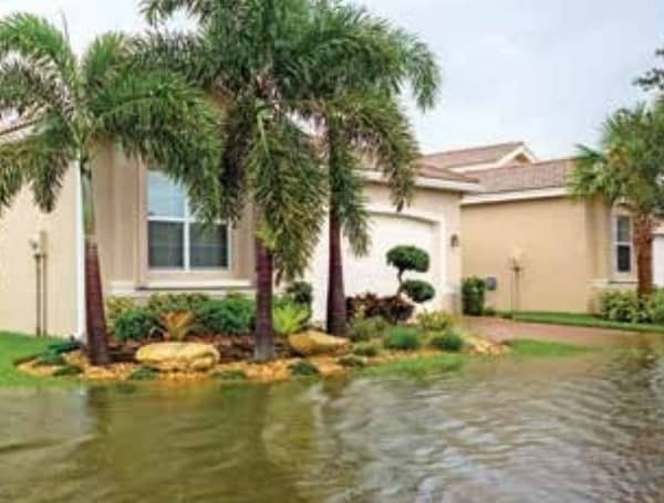 Florida State Citizens Insurance Nears 800,000 Policies