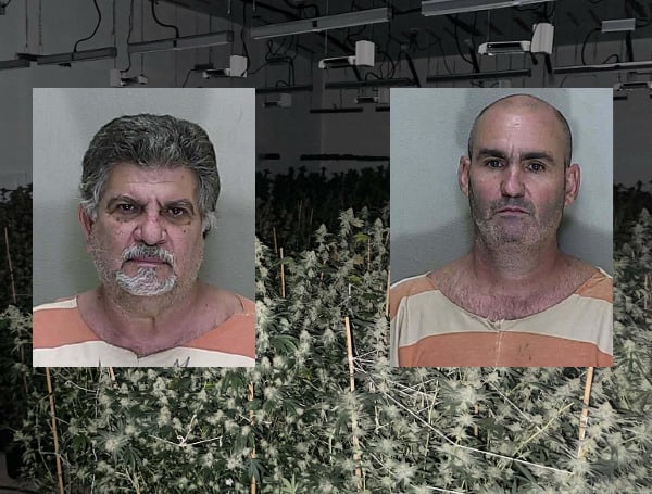 Florida Man Loses His ‘Grow House’ After A Power Theft Investigation