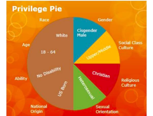 School District Reportedly Hired A Consultant To Teach The ‘Privilege Pie’ Chart And A ‘Pyramid Of White Supremacy’