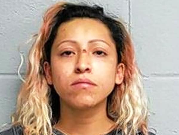 Illinois Mother Of 3 Charged With Murder After Allegedly Shooting Man For Refusing To Kiss Her