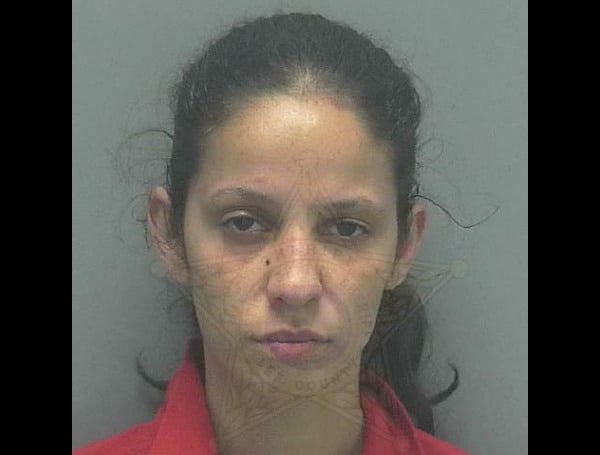 Road Rage: Florida Woman Arrested After Smashing Car Window With Tire Iron, Beating Victim