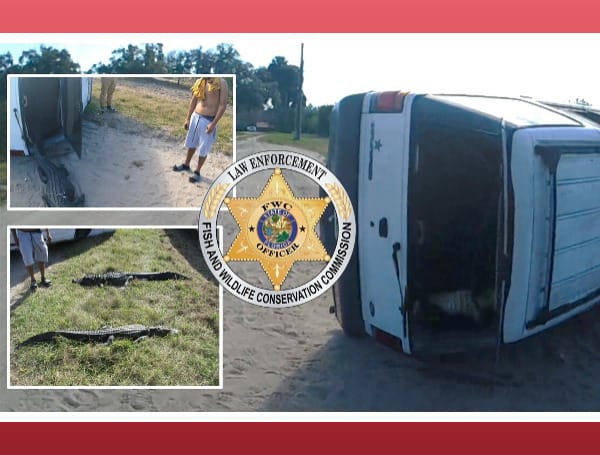 Florida Teens Arrested After Rollover Crash Kills Two Gators Captured While Fishing