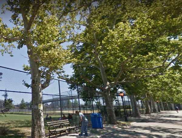 NYC Fights Climate Change By Cutting Down 1K Trees In Manhattan