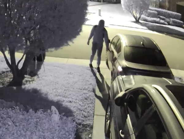 Pasco Sheriff Seeks Help Identifying Wesley Chapel Car Burglary Suspect