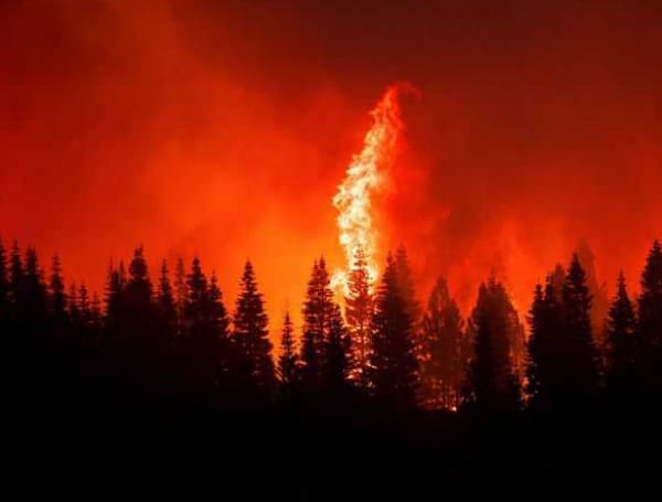 Authorities Reveal Cause Of Second-Largest Wildfire In California History