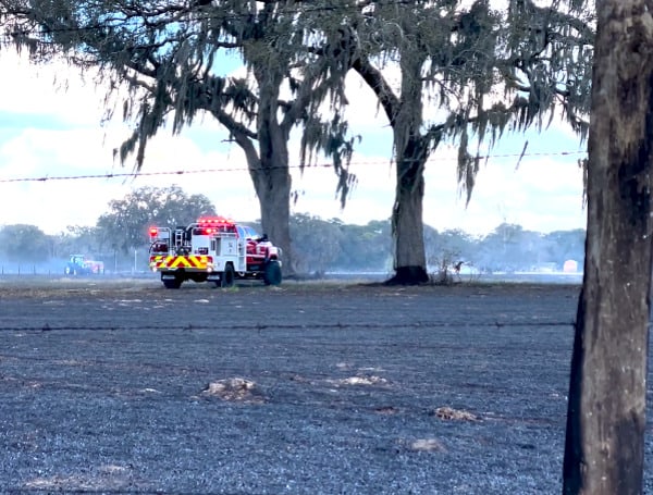 Pasco County Property Owned Cited After Campfire Scorches 172 Acres