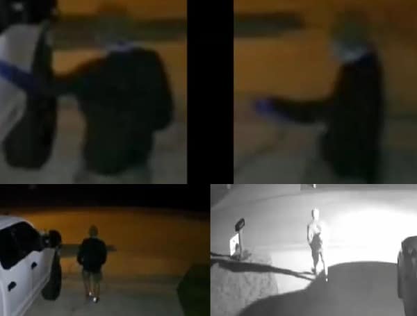 Polk County Sheriff Searching For Lakeland Car Burglary Suspect