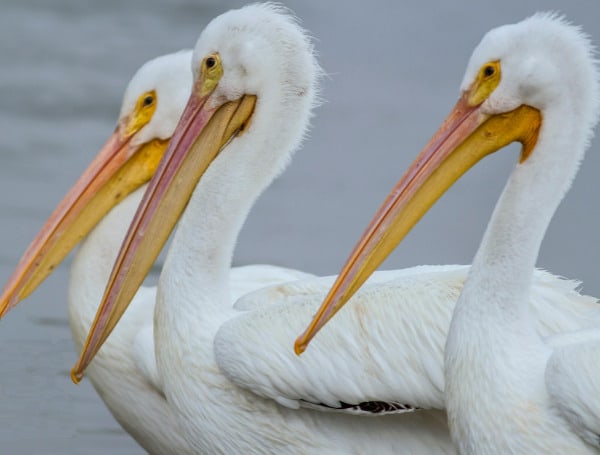 Florida Sets New Visitation Record In Third Quarter With 35.1 Million Visitors