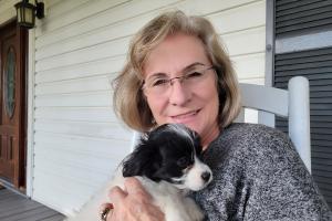 Maltipoo Puppies For Sale Florida Increases as Top Breeder Launch Direct-To-Consumers Store