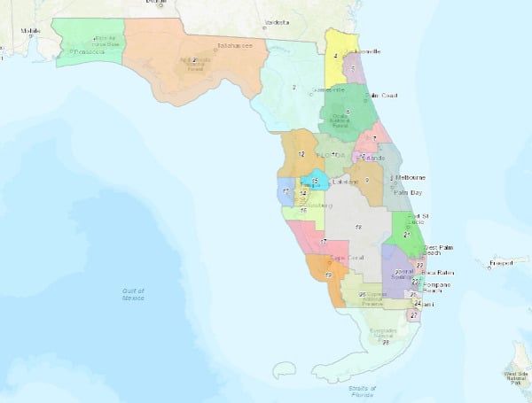 Florida Appeals Court Blasts Redistricting Injunction