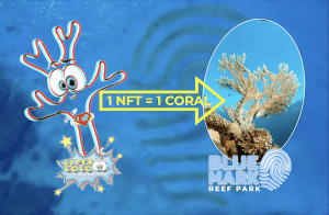 Art for Evolutions’ SUPERCOCO-NFT announces 5 Goal Plan to build a new Coral Reef with NFTs.