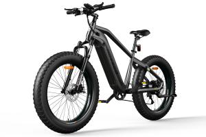 HOVSCO Ebike Looking Forwards a Long-Term Cooperation with a PR agency