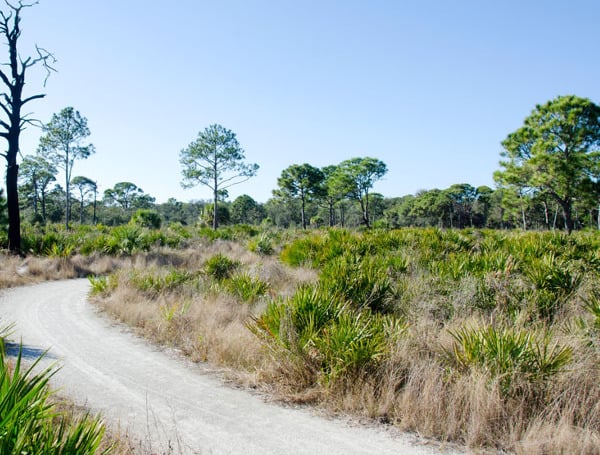 Groups Target Chinese Land Ownership Law In Florida