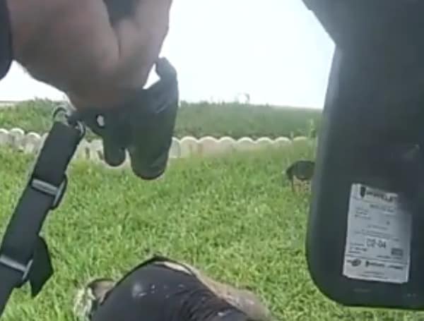 Watch: Body-Worn Cam Video Released In Deputy-Involved Spring Hill Florida Shooting