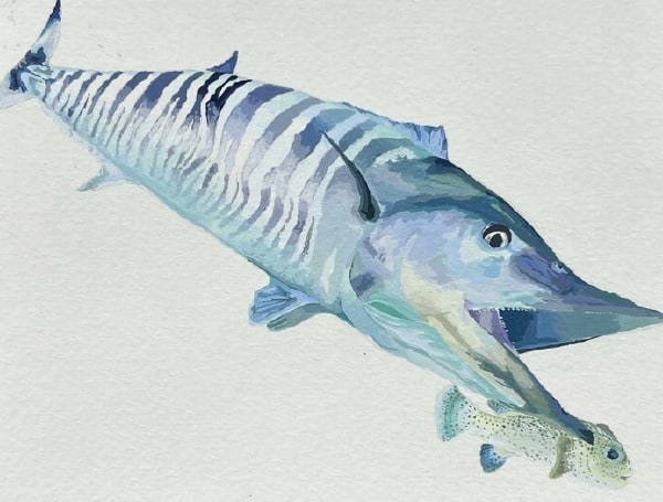 FWC To Host Florida State Fish Art Contest