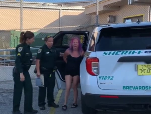 Kentucky Woman Locked Up In Florida After Leaving 3 Animals In A Hot Van While She Went To The Beach