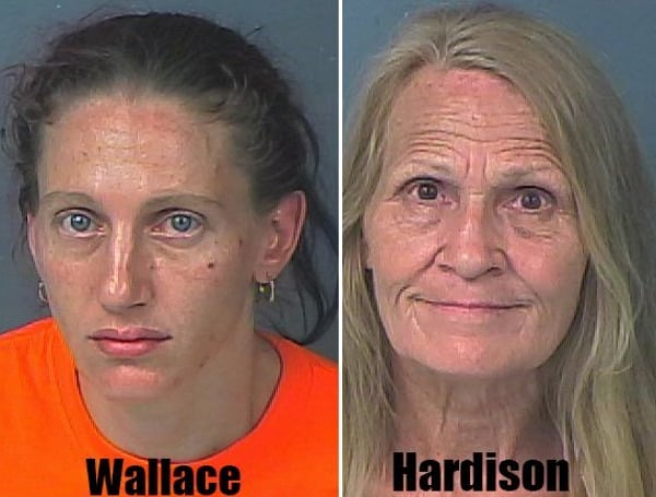 Hernando Deputies Arrest Two Spring Hill Women At Nuisance Drug House