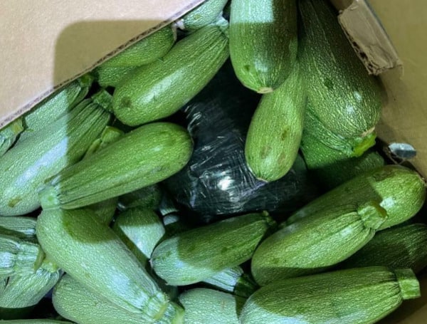 On The Border: Border Officers “Squash” 550+ Pounds Of Meth Smuggled In, Squash