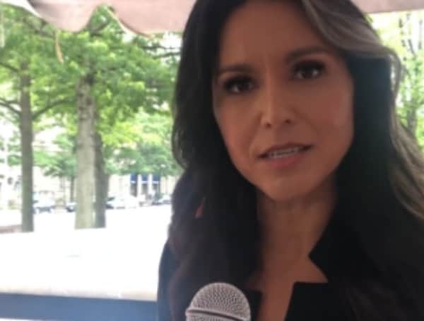 Former Dem Rep Tulsi Gabbard Slams Harris On Foreign Policy, Declares Her ‘Unfit’ To Be Commander In Chief