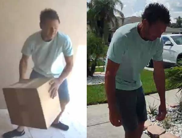 Pasco Sheriff Seeking To Identify Land O’ Lakes Porch Pirate