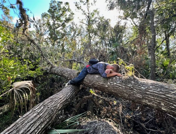 Lost Hiker Recused From Little Manatee River State Park