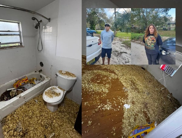 Florida Man & Woman Charged With Fraud, Animal Cruelty After Cops Find Emaciated Dogs In Deplorable Conditions