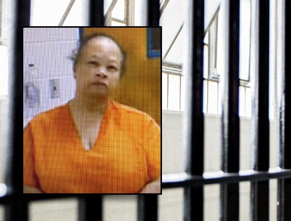 Florida Woman Faces Petition Fraud Charges
