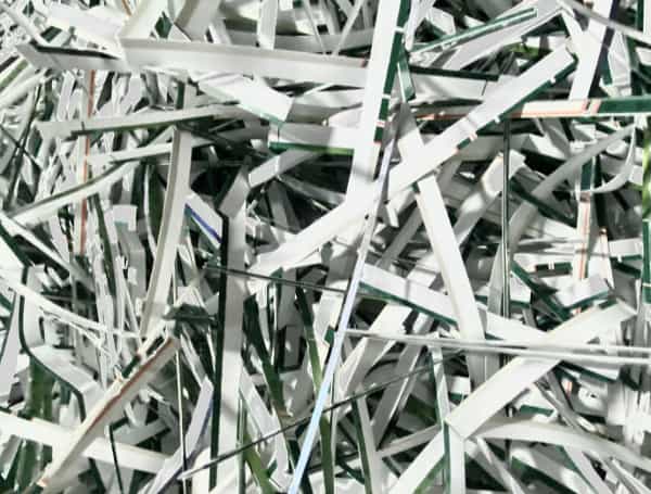 Hillsborough County To Hold Shred Fest 2023 On March 4