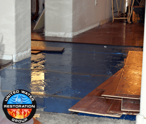 United Water Restoration Group Protects Ormond Beach Homes From Water Damage