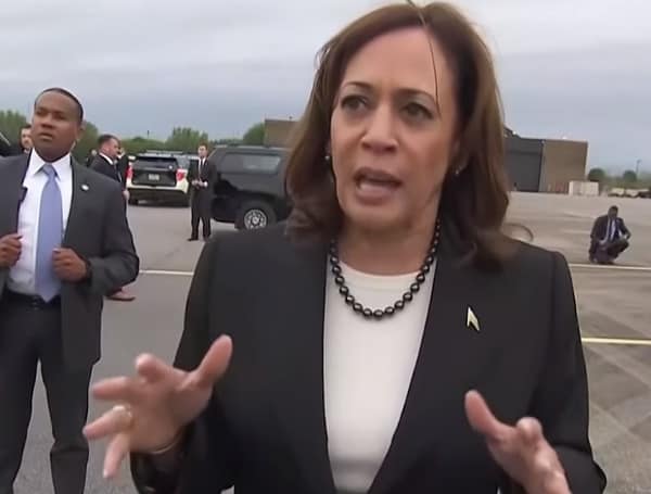 Fmr Banker Rips Harris As Another ‘Puppet,’ Says Americans ‘Literally Can’t Afford’ Four More Years Of Same Policies