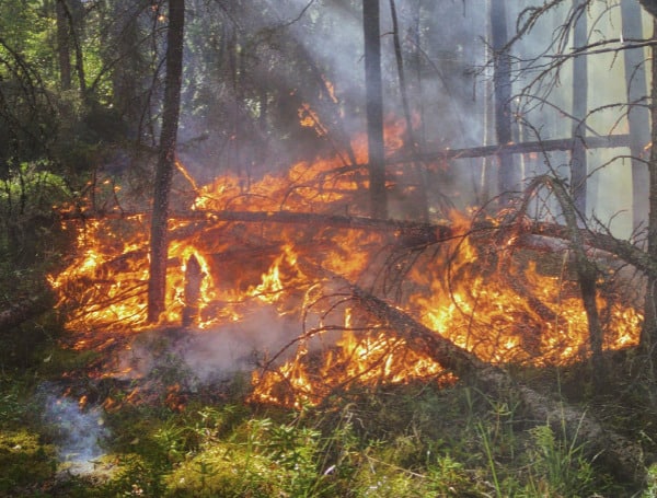 Prescribed Fire In Polk County Impacts Pasco County With Smoke