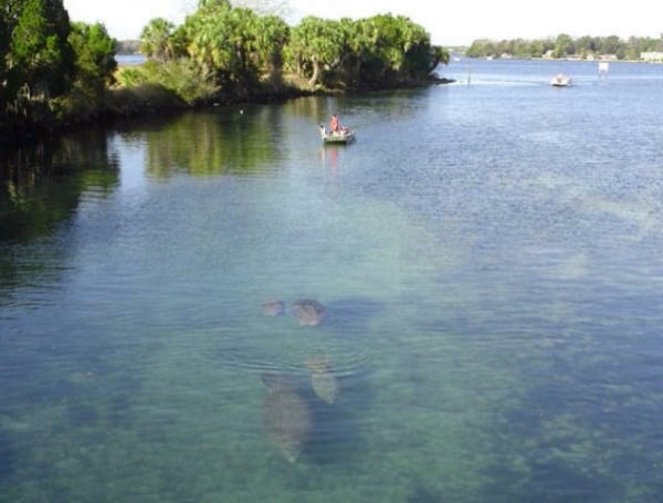 FWC Conducts Aquatic Plant Control On Lake Rousseau