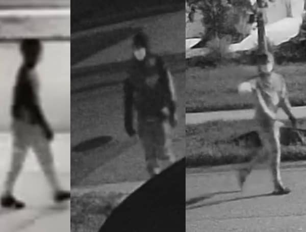 Deputies Looking For 3 Wesley Chapel Car Thieves