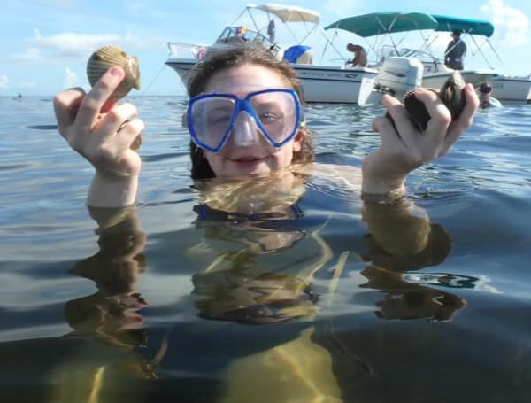 FWC Seeks Public Input On Pasco County Zone Bay Scallop Season