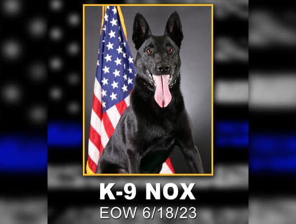 Sarasota County Sheriff’s Office K-9 Nox Remembered